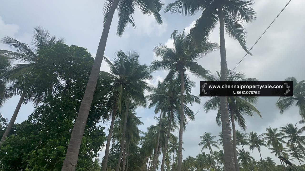 10000 Sqft Farm Land Sale in Pavunjur