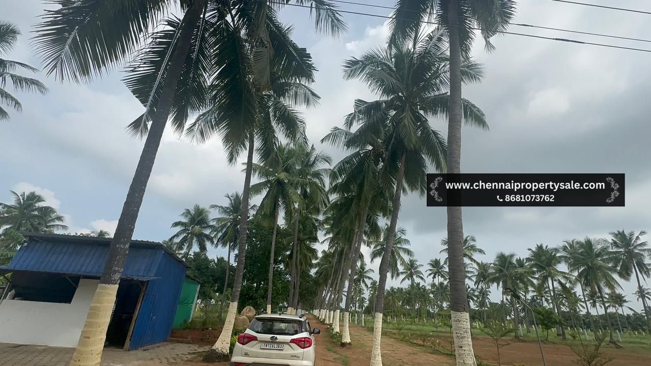 10000 Sqft Farm Land Sale in Pavunjur