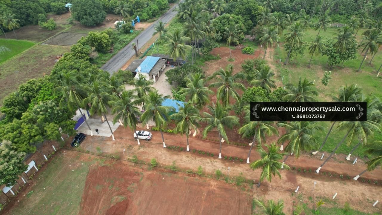 10000 Sqft Farm Land Sale in Pavunjur