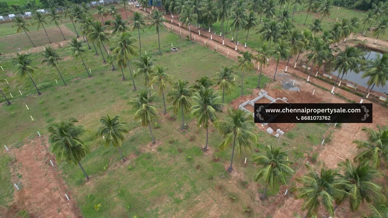 10000 Sqft Farm Land Sale in Pavunjur