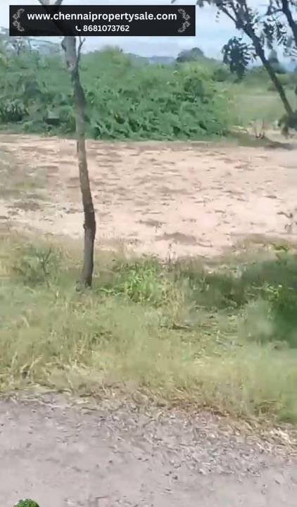 18 Acres Dry Land Sale in Vinnamangalam Near Arani