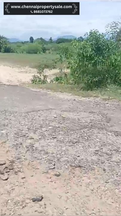 18 Acres Dry Land Sale in Vinnamangalam Near Arani