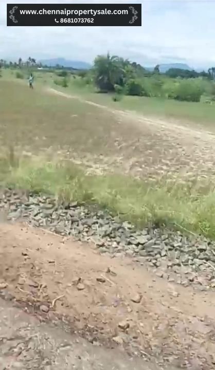 18 Acres Dry Land Sale in Vinnamangalam Near Arani