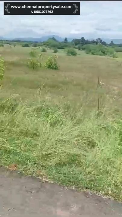 18 Acres Dry Land Sale in Vinnamangalam Near Arani