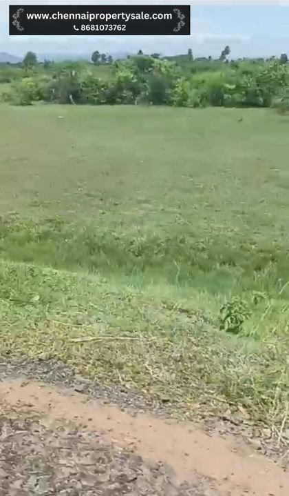 18 Acres Dry Land Sale in Vinnamangalam Near Arani