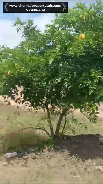 18 Acres Dry Land Sale in Vinnamangalam Near Arani 11 18 Acres Dry Land Sale in Vinnamangalam Near Arani