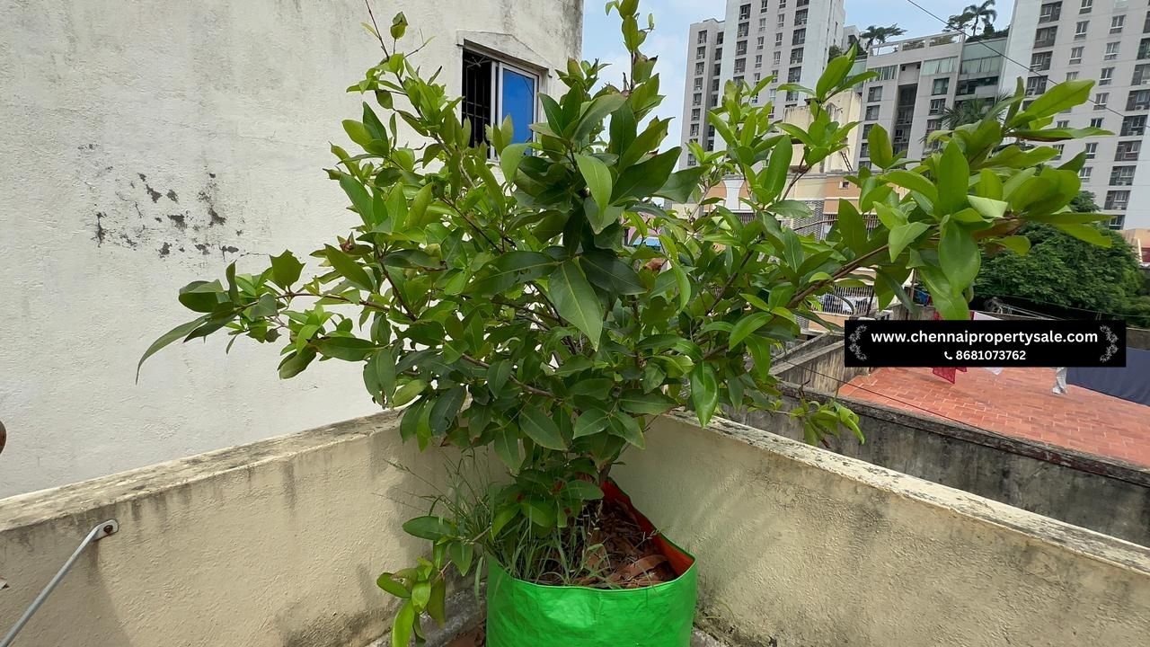 2800 Sqft Commercial Rental Income Property Sale in Medavakkam