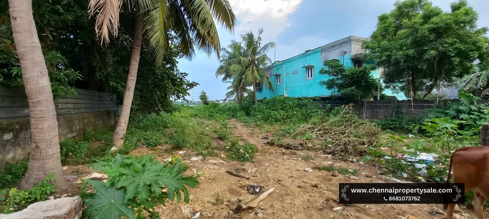 5757 Sqft Vacant Land Sale in Avadi