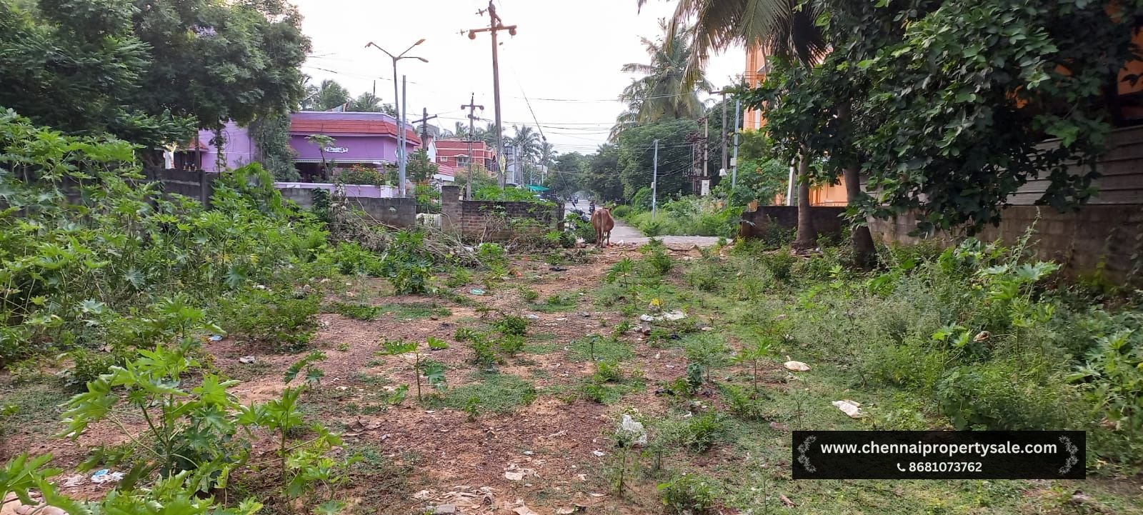 5757 Sqft Vacant Land Sale in Avadi