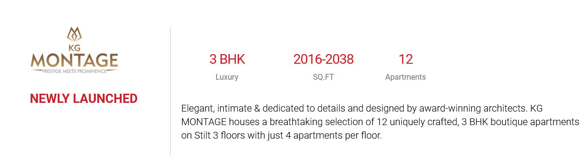 Luxurious Apartment Sale at Alwarpet TTK Road