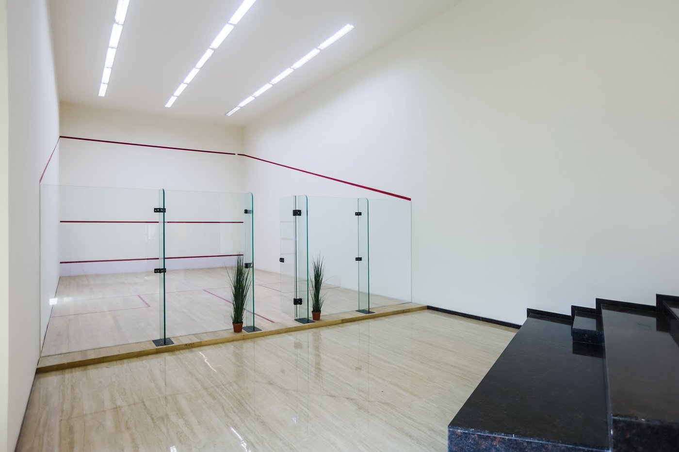 Premium Flats Sale at Mogappair