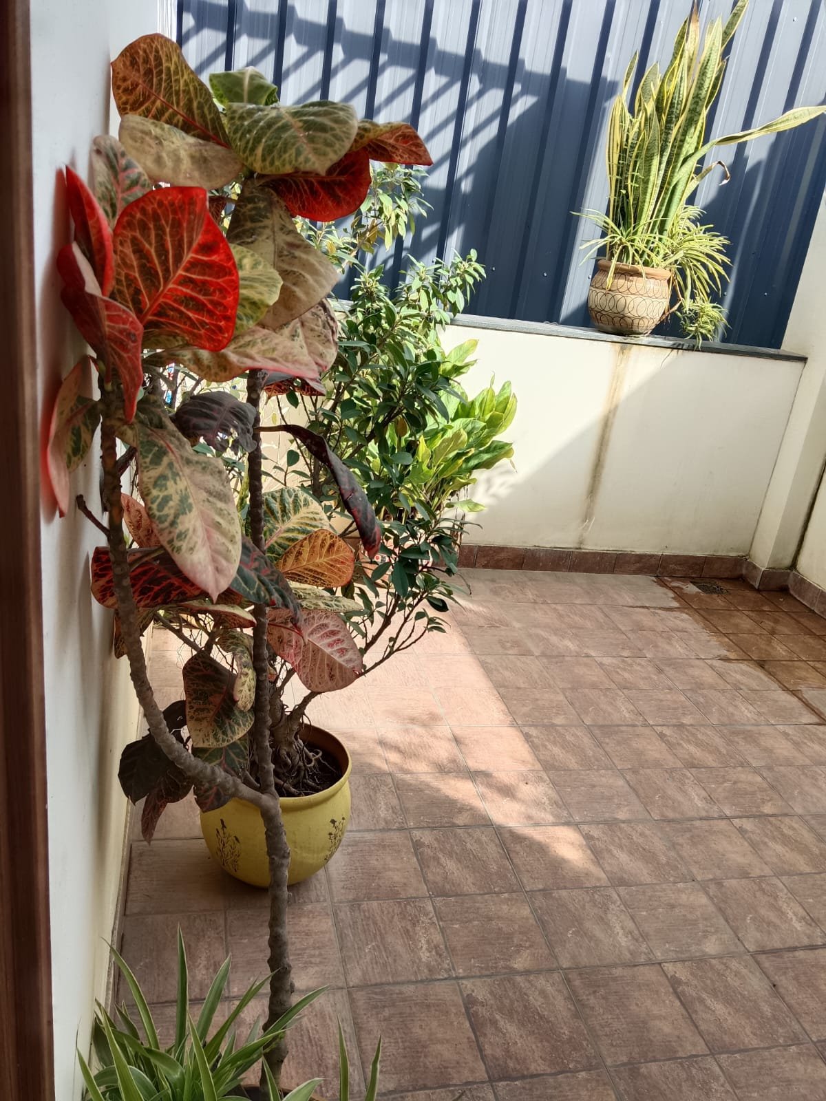 Premium New flats sale in Manapakkam Chennai 61 Premium New flats sale in Manapakkam Chennai