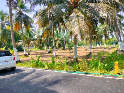 Gated community beach side plots sale in ECR Panaiyur (Near Koovathur)