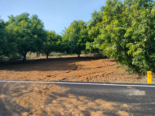 Gated community beach side plots sale in ECR Panaiyur (Near Koovathur)