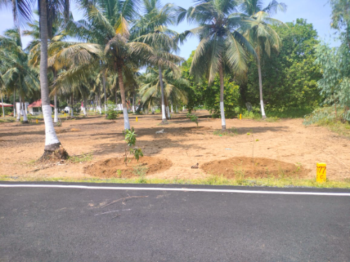 Gated community beach side plots sale in ECR Panaiyur (Near Koovathur)