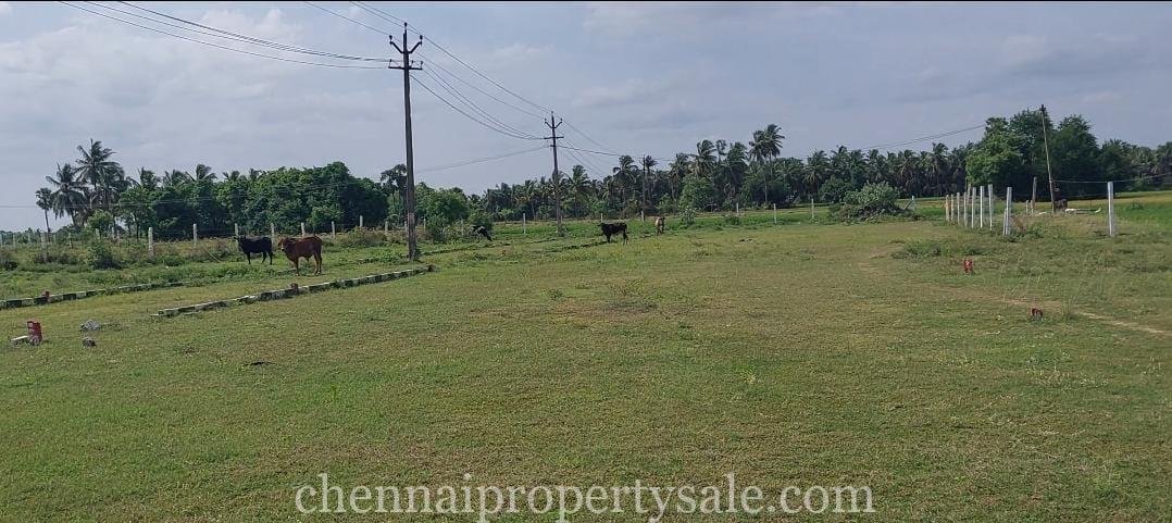 Dtcp approved plot sale Near Chithamur