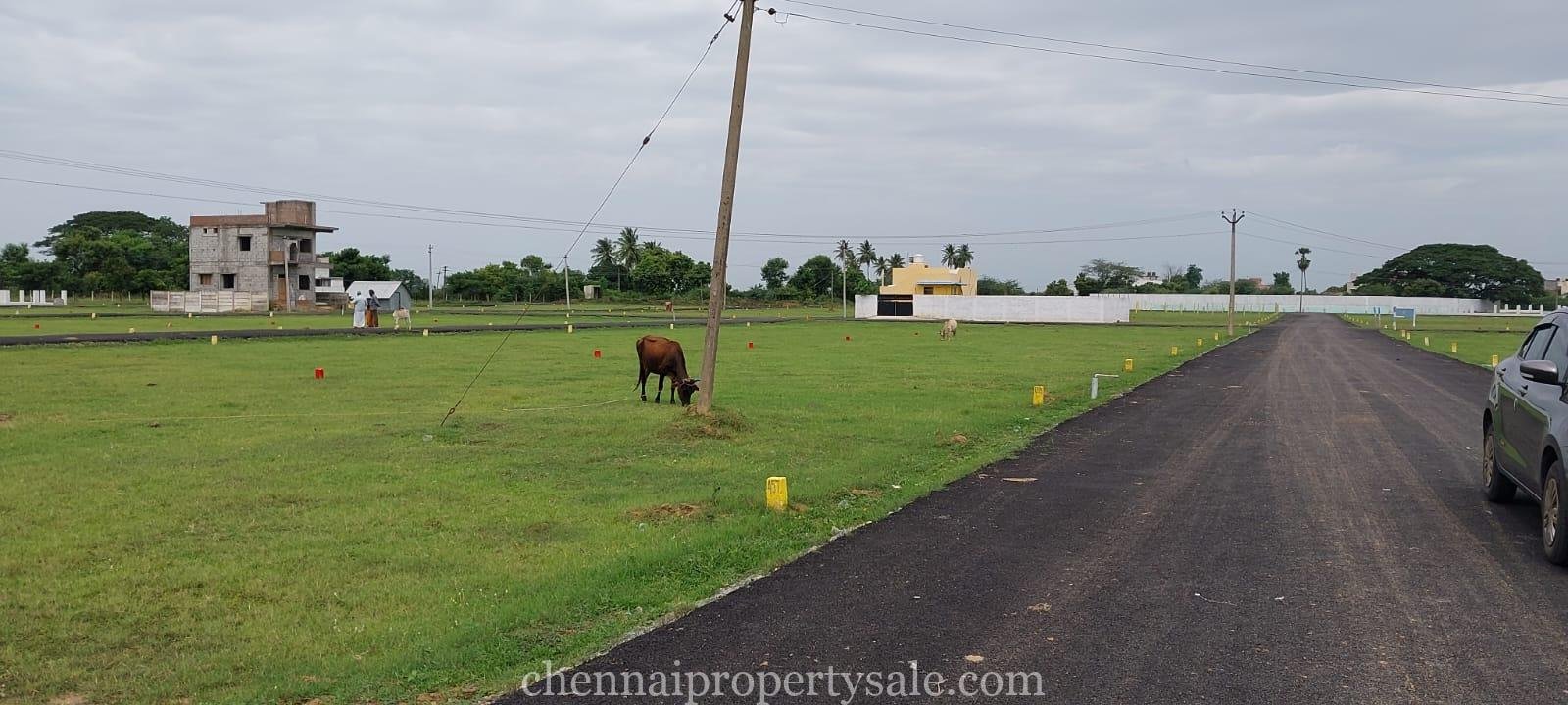 Dtcp approved plot sale at Periyapalayam