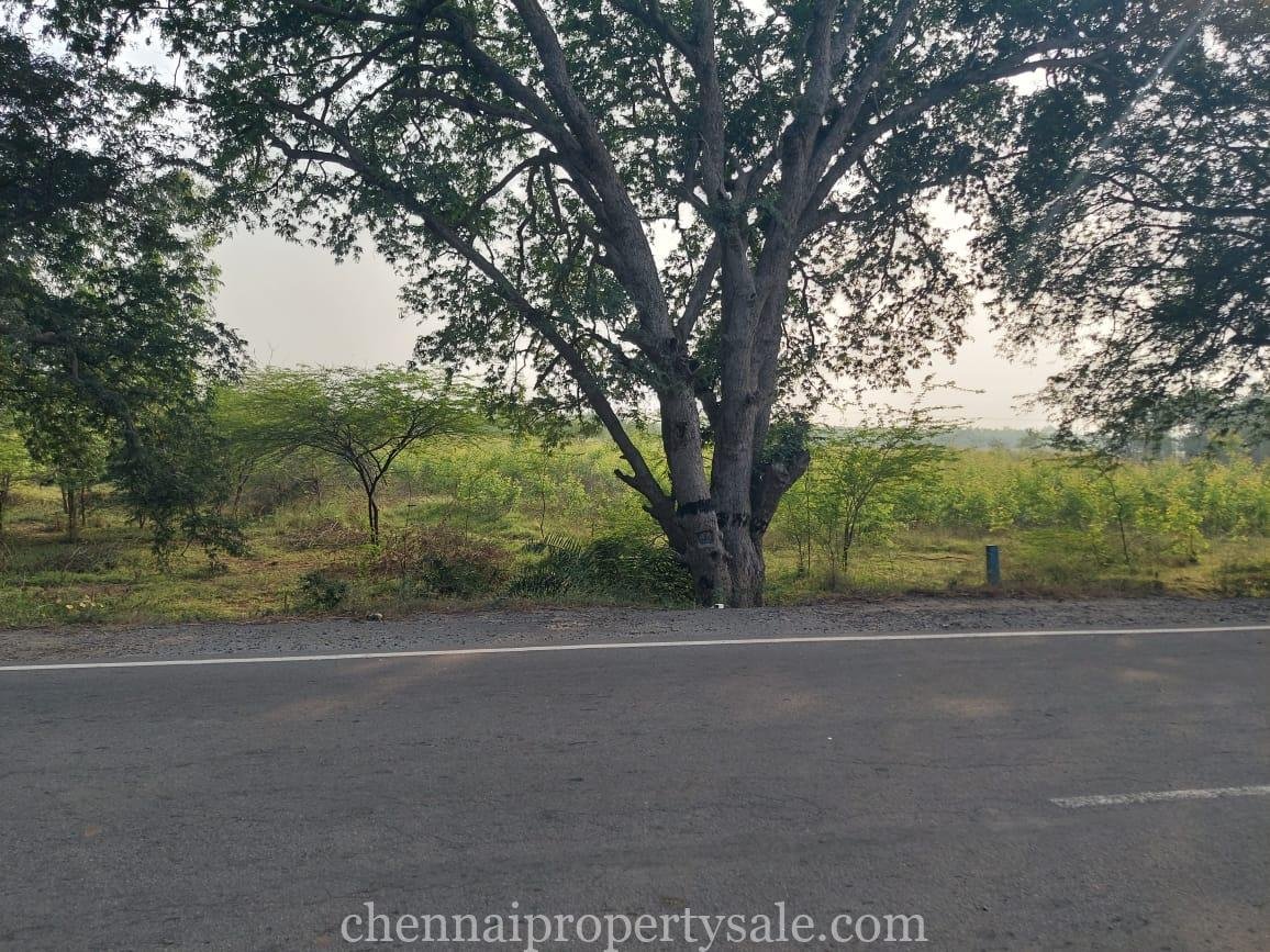 13.5 Acre Land Sale in Kavaraipettai