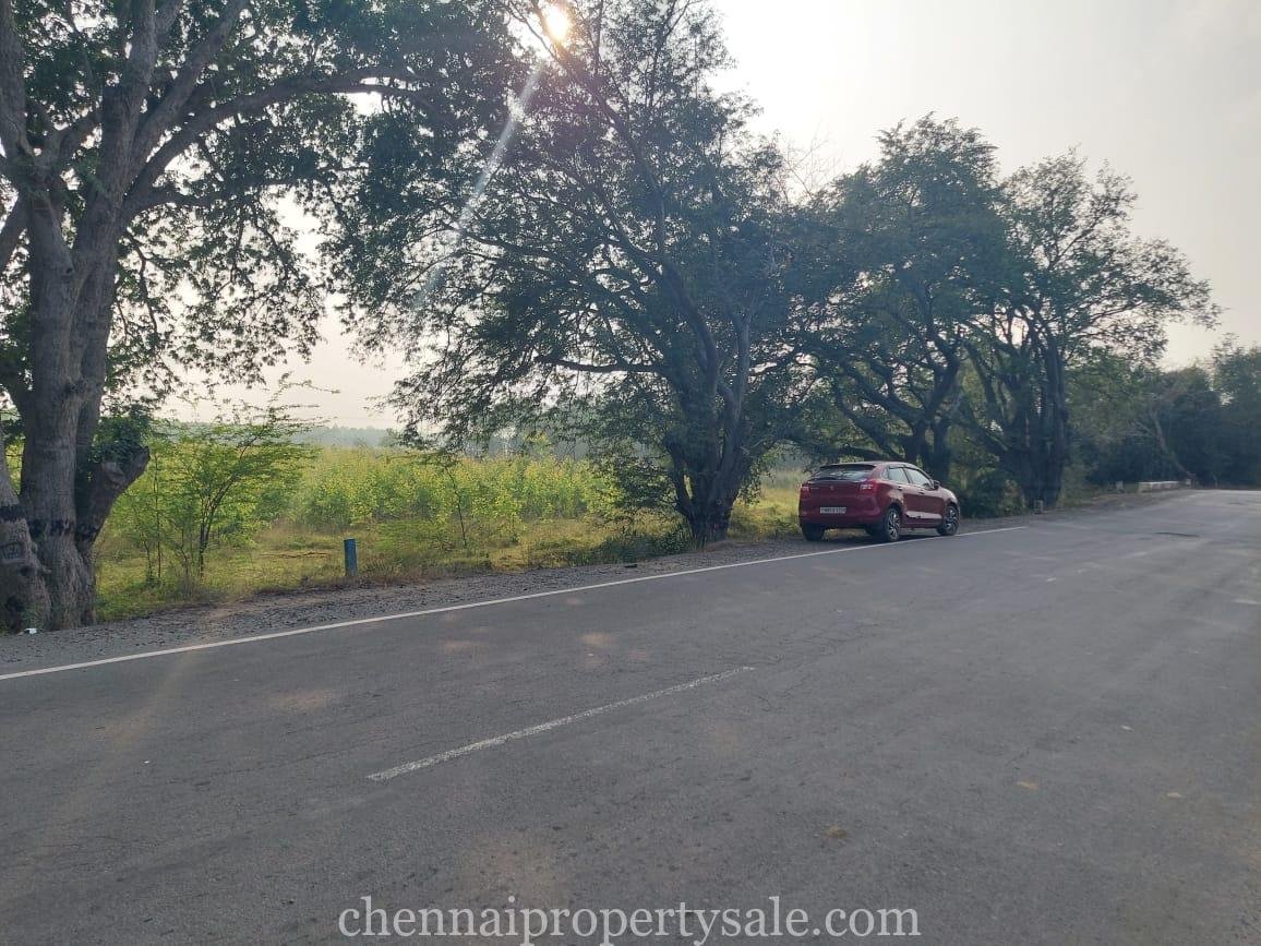 13.5 Acre Land Sale in Kavaraipettai