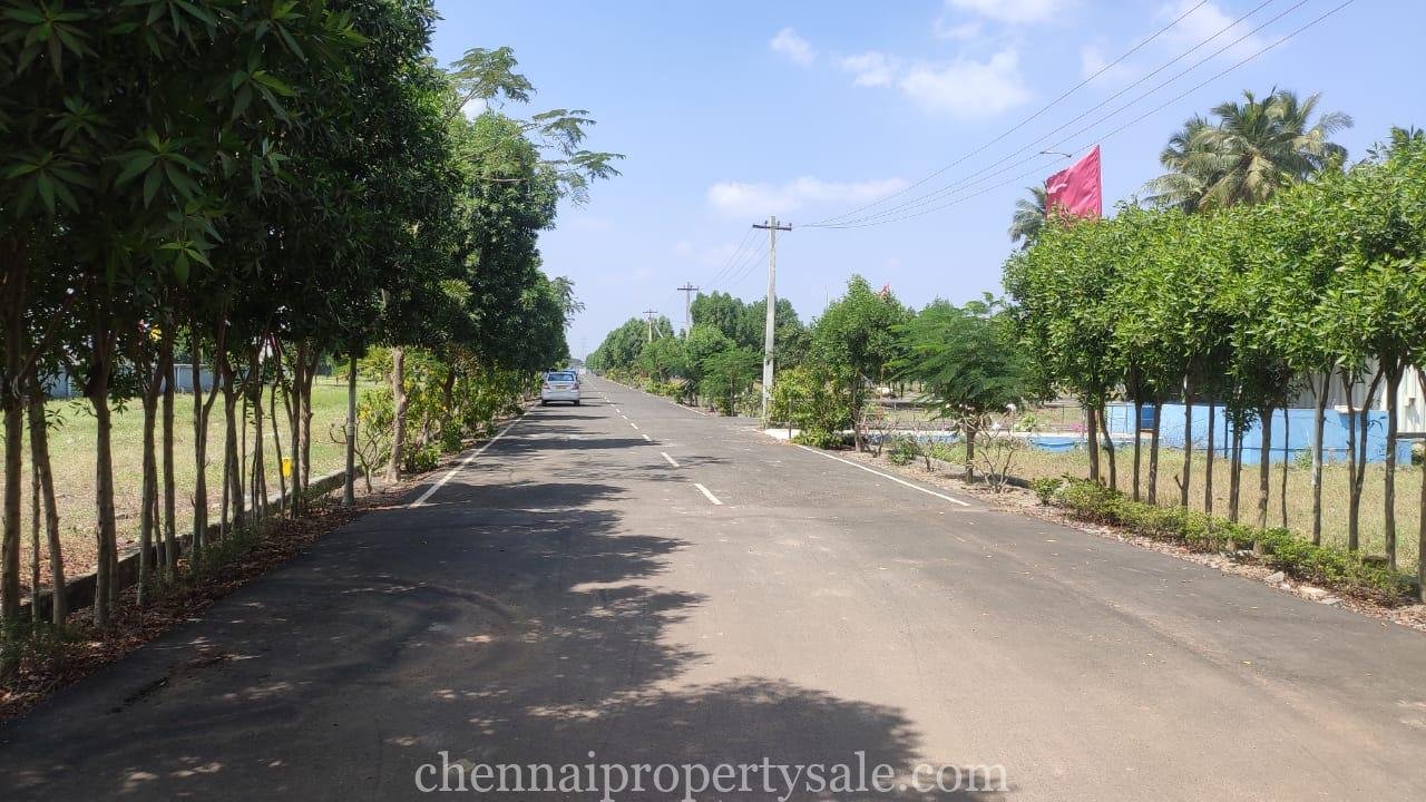 Premium Residential Plots Sale in Karanodai