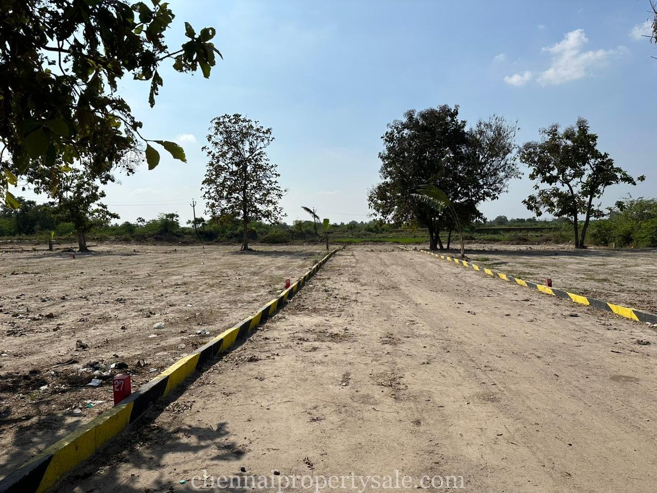 Residential Plots Sale in Ikkadu