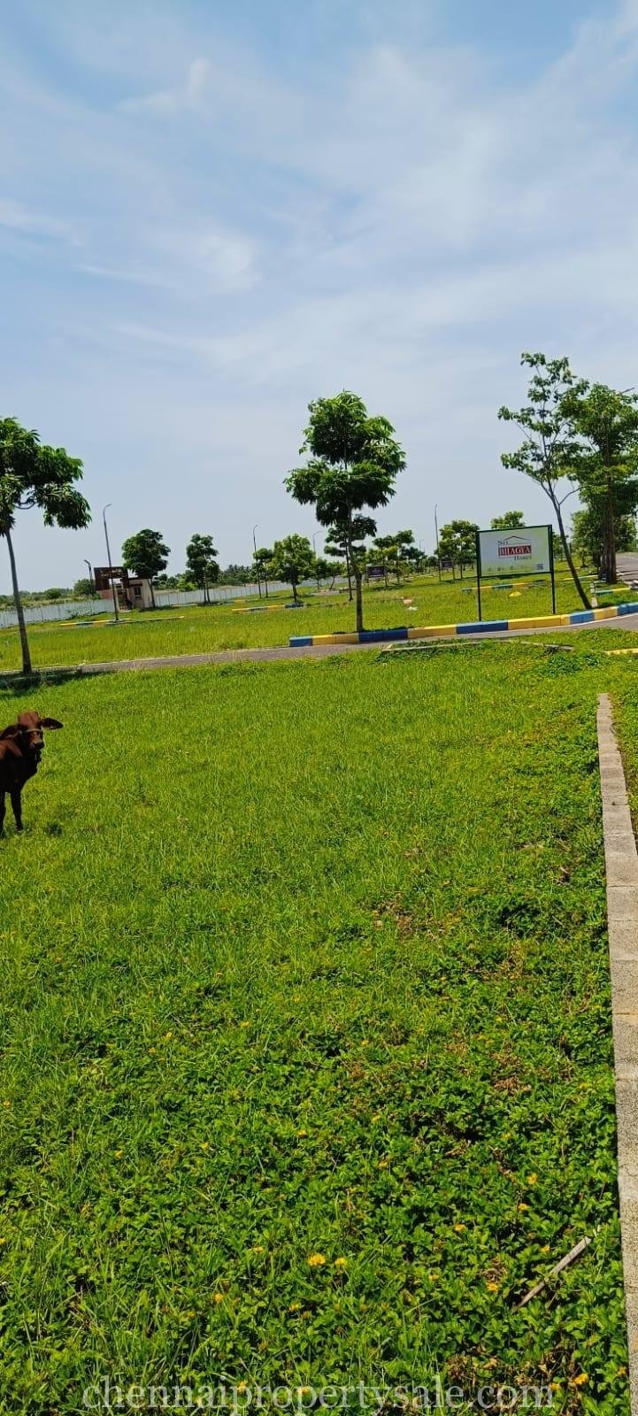 Residential Plots Sale in Sriperumbudur 6 Residential Plots Sale in Sriperumbudur