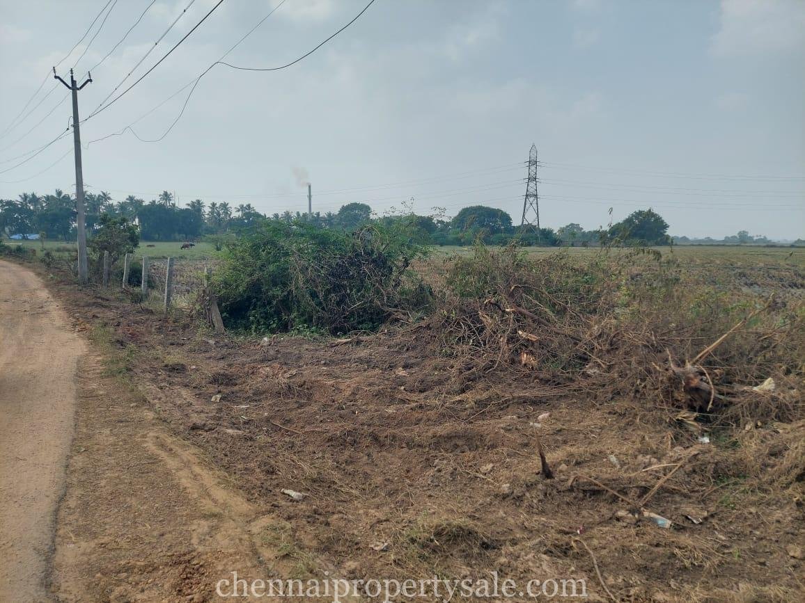 Land for sale near chennai - periyapalaiyam