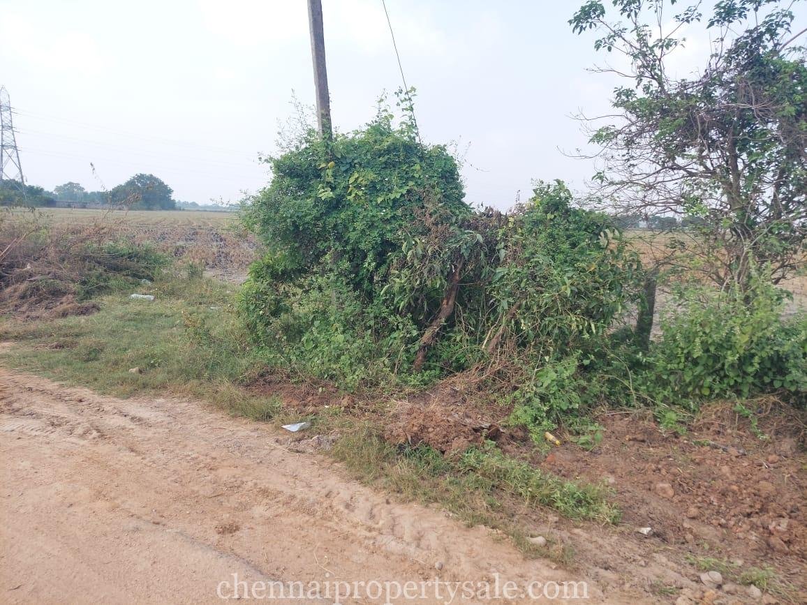Land for sale near chennai - periyapalaiyam
