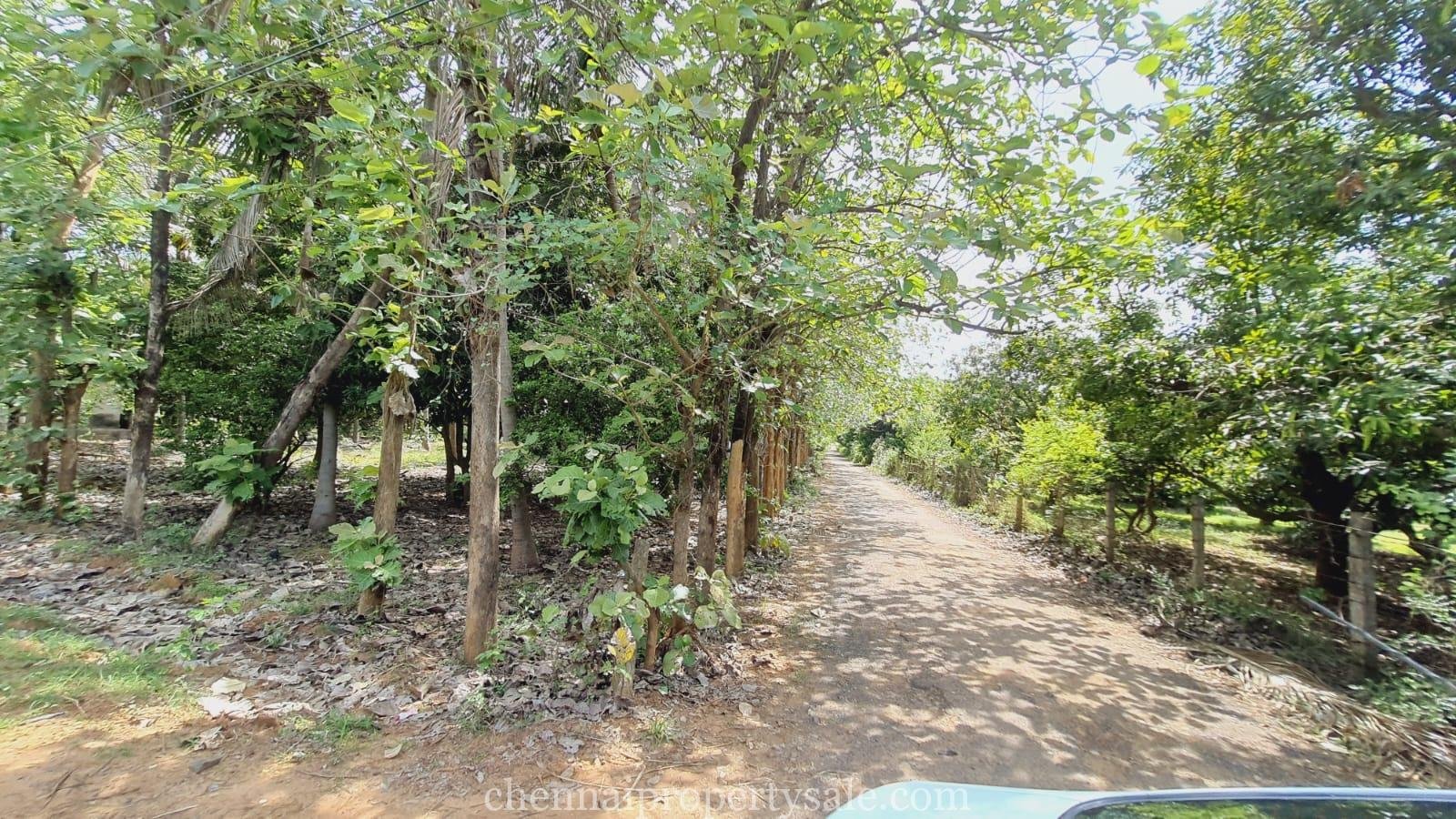 1.50 Acres industrial Land Sale in Sunguvarchatram