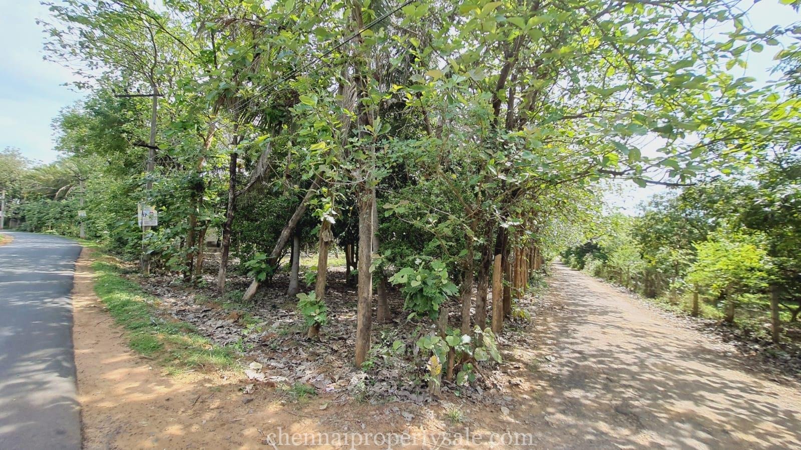 1.50 Acres industrial Land Sale in Sunguvarchatram