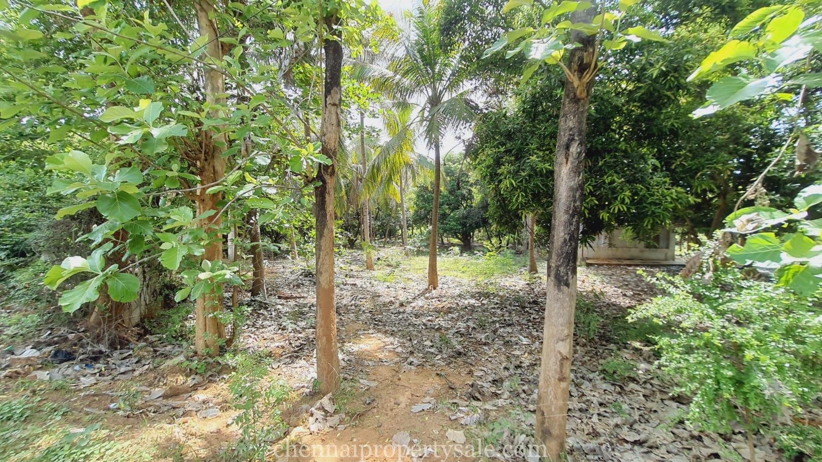 1.50 Acres industrial Land Sale in Sunguvarchatram