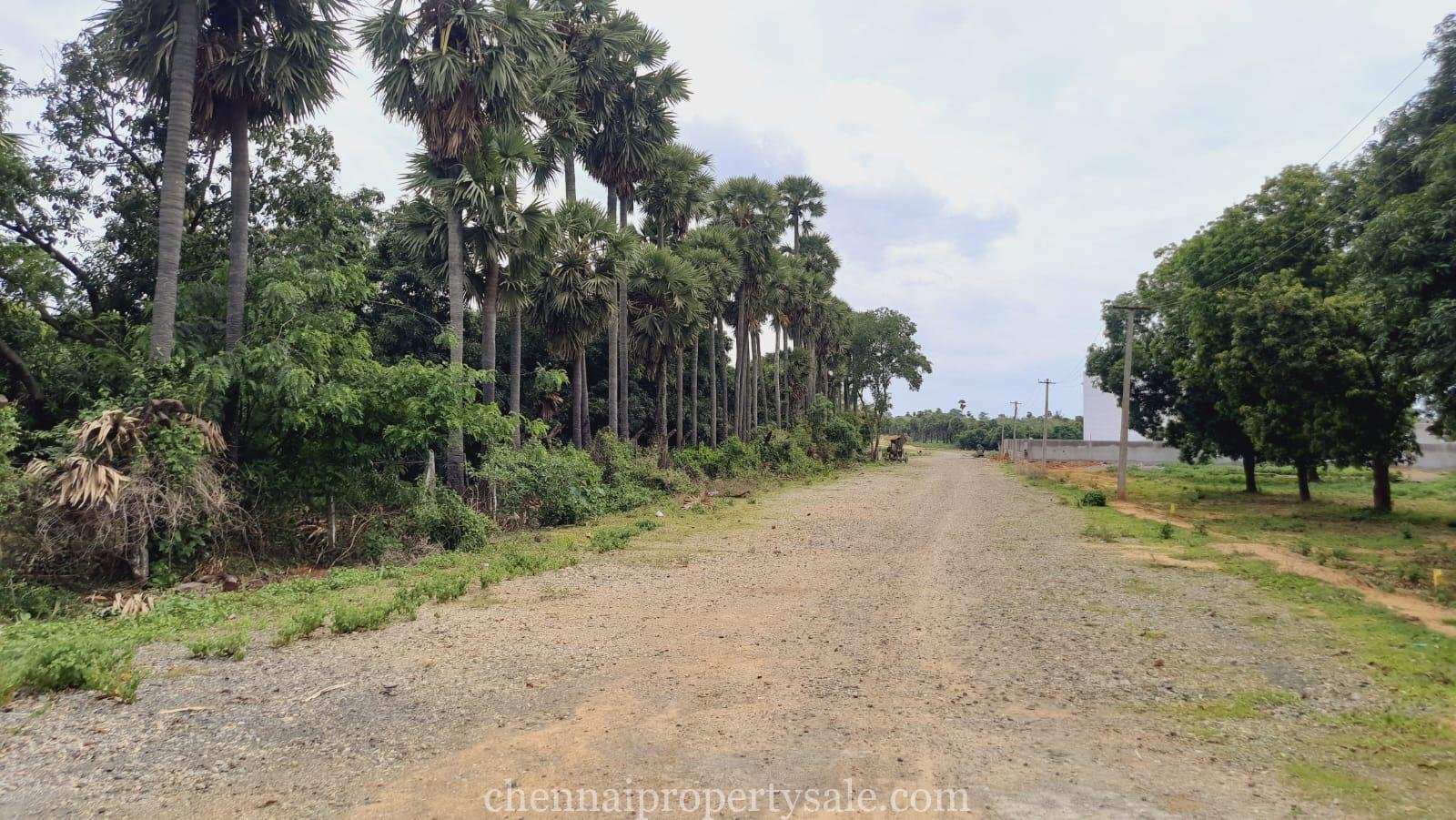 61 Cent industrial Land Sale in Ulundai Village On Road