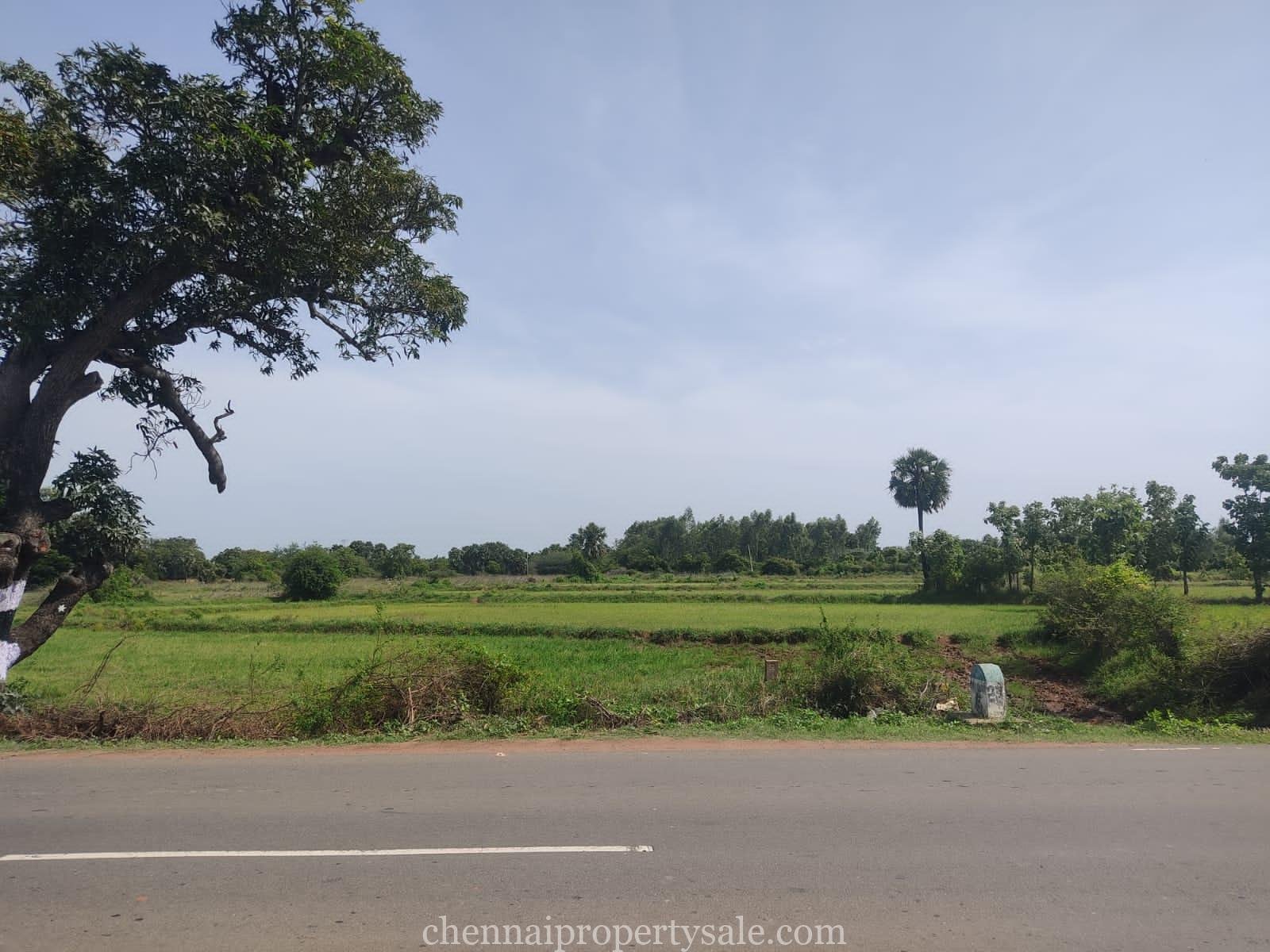 100 Acre Industrial Land Sale in Vengal on Periyapaalaiyam High Road