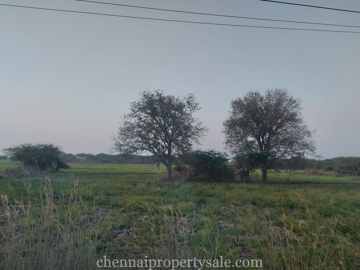 12 Acres industrial Land Sale in Periyapalayam