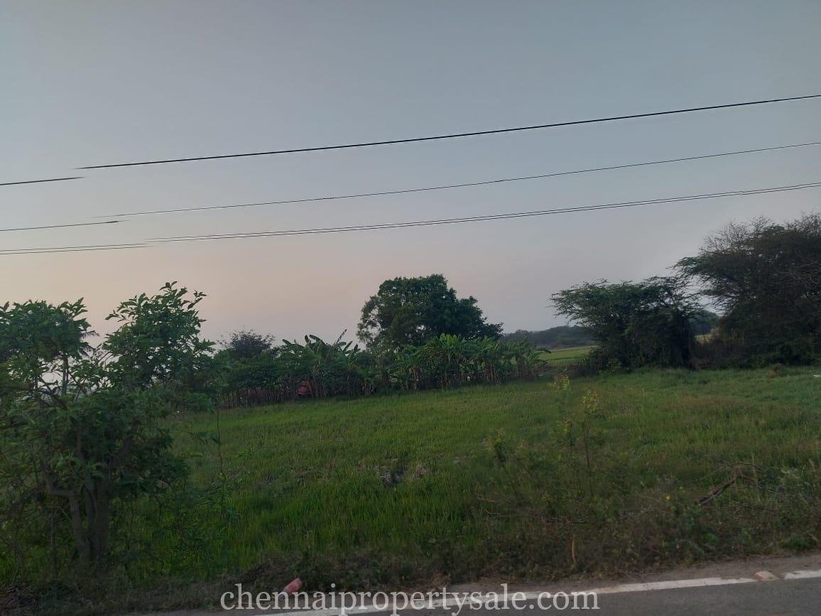 12 Acres industrial Land Sale in Periyapalayam 9 12 Acres industrial Land Sale in Periyapalayam