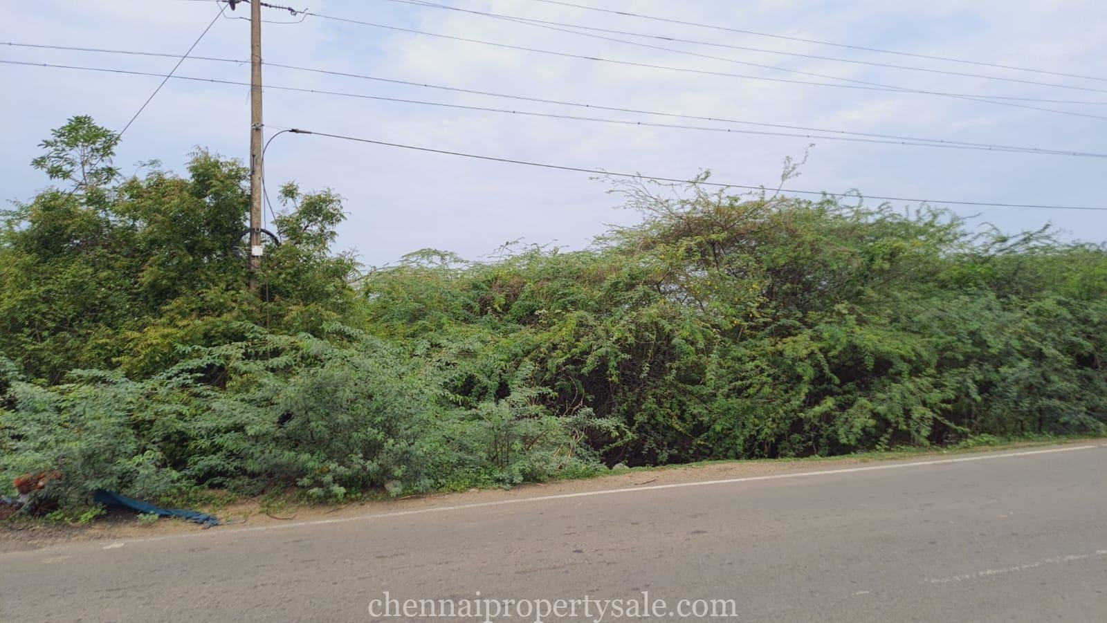 a road with bushes and power lines
