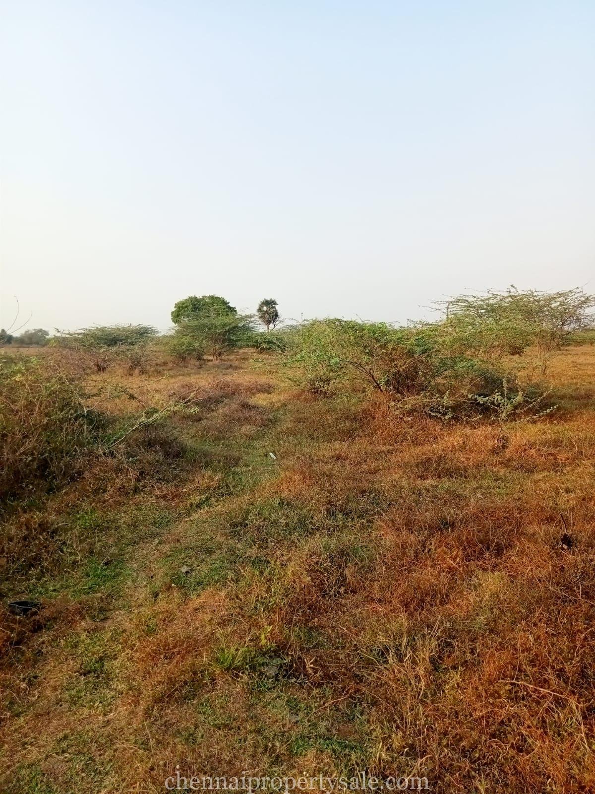 120 Acre Industrial Land Sale in Valarpuram - Mappedu road