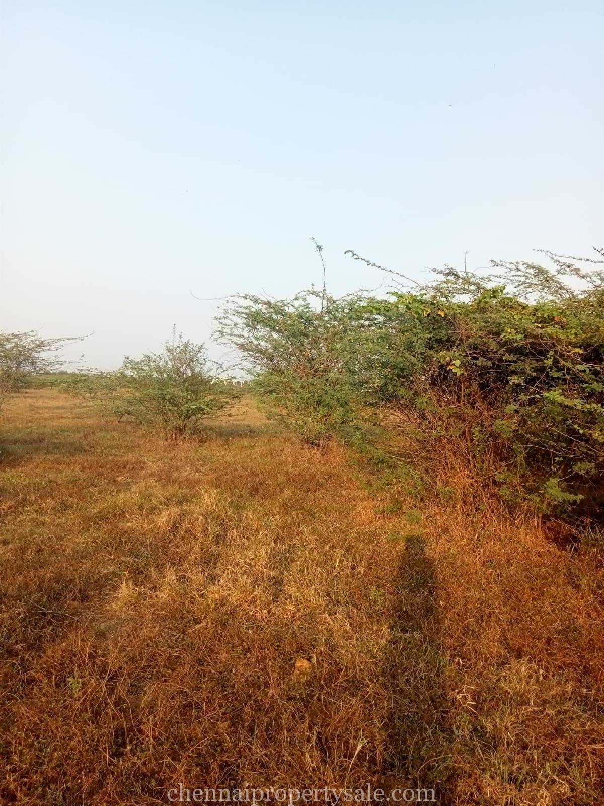 120 Acre Industrial Land Sale in Valarpuram - Mappedu road