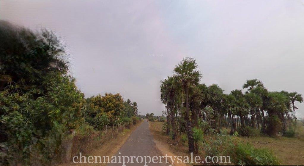 106 Acres industrial Land Sale in Sunguvarchatram