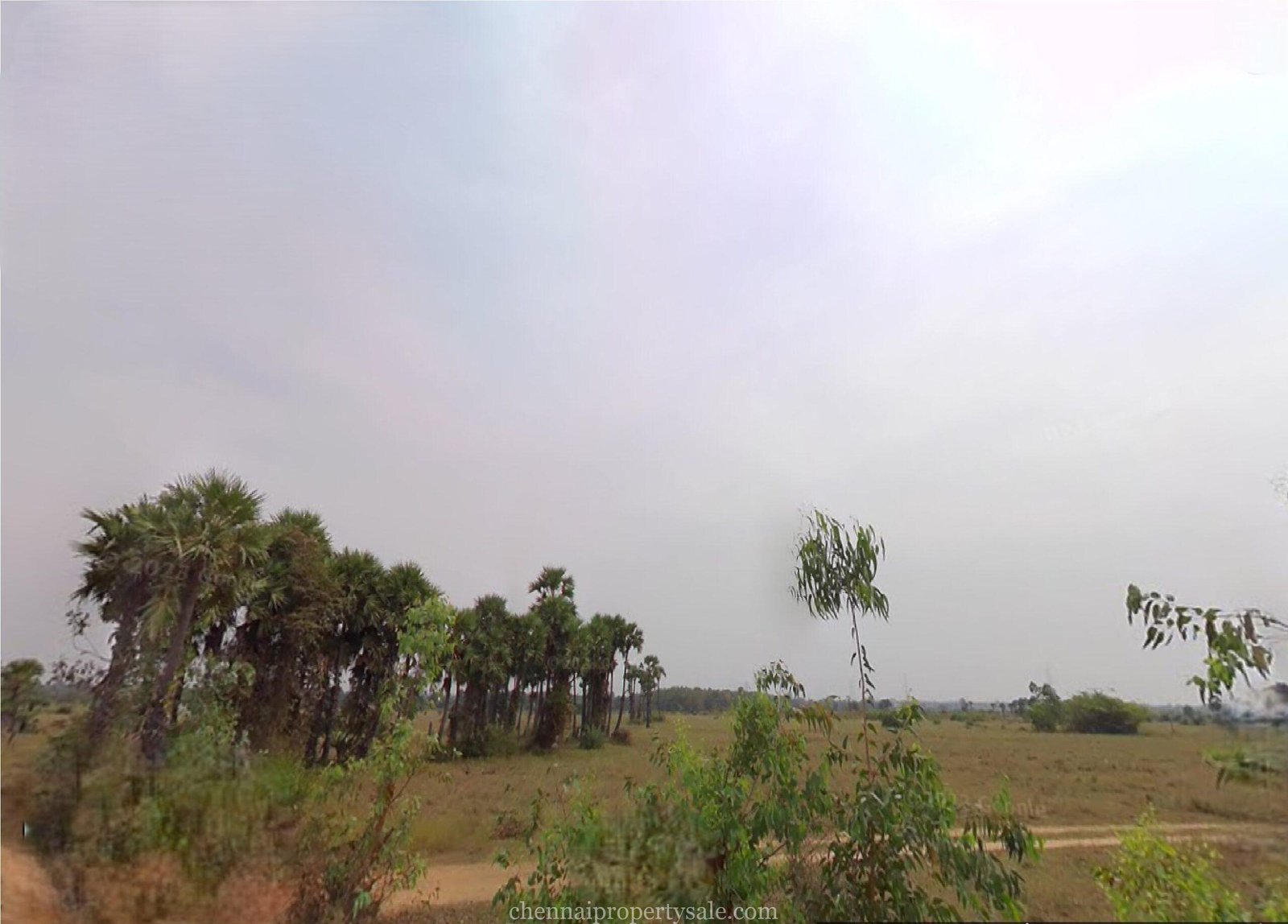 106 Acres industrial Land Sale in Sunguvarchatram