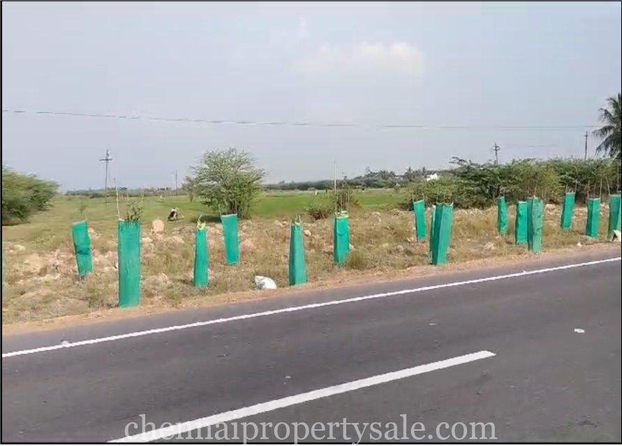 115 Acres industrial Land Sale in Kanchipuram