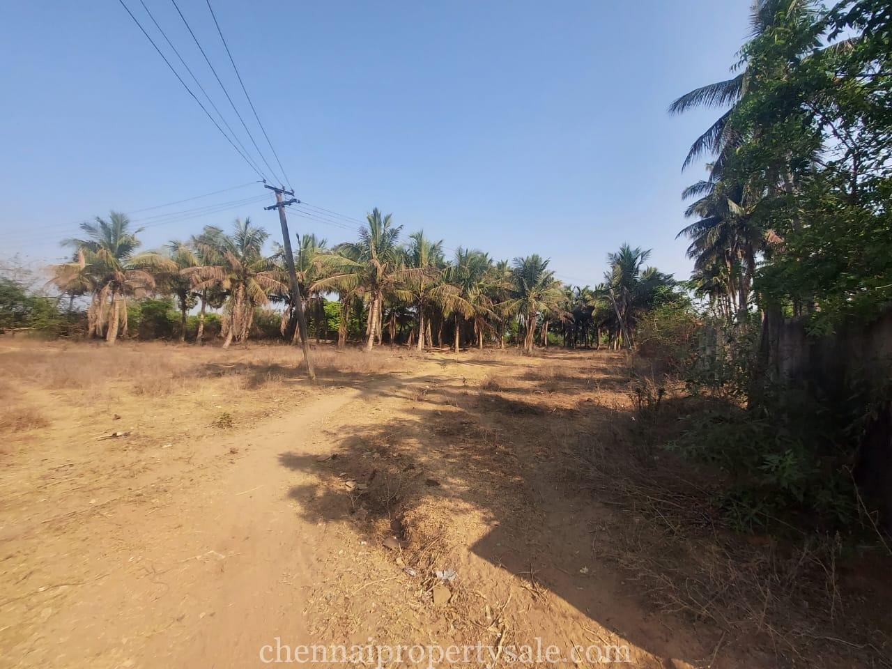 2.50 Acres Farm Land Sale in Red Hills