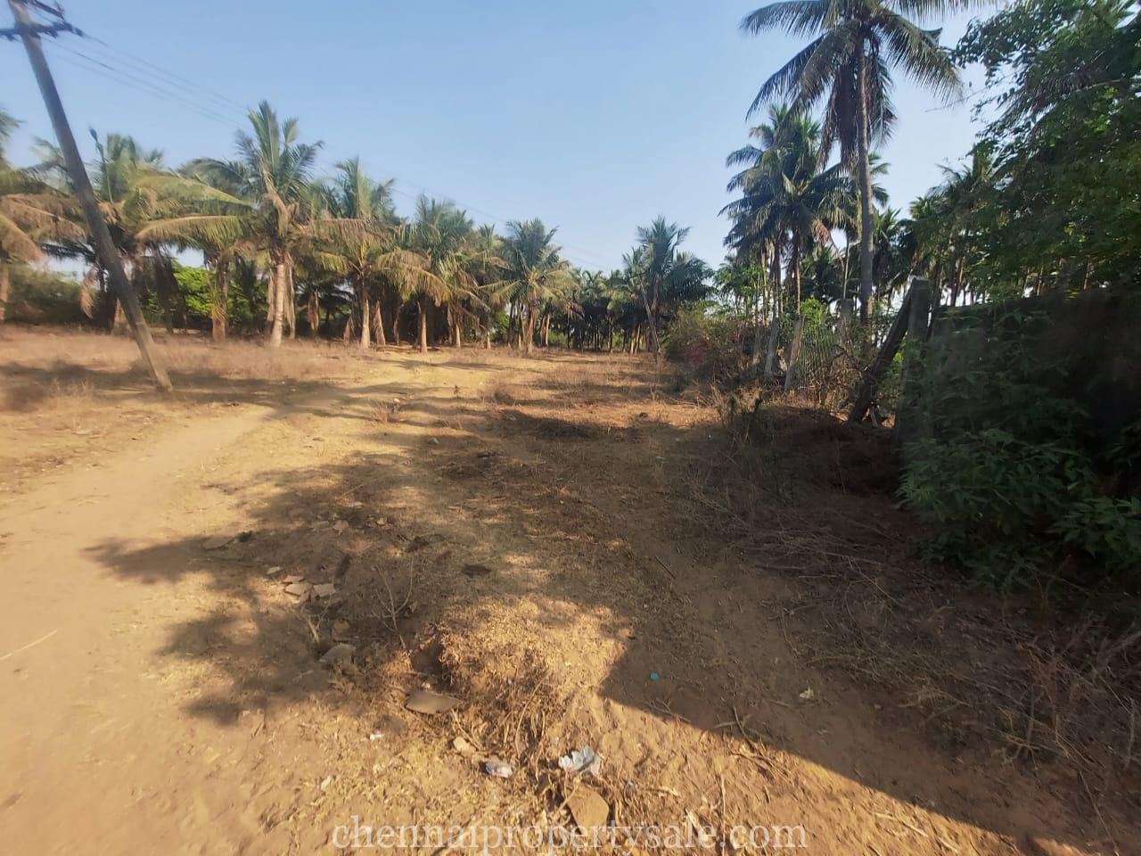 2.50 Acres Farm Land Sale in Red Hills