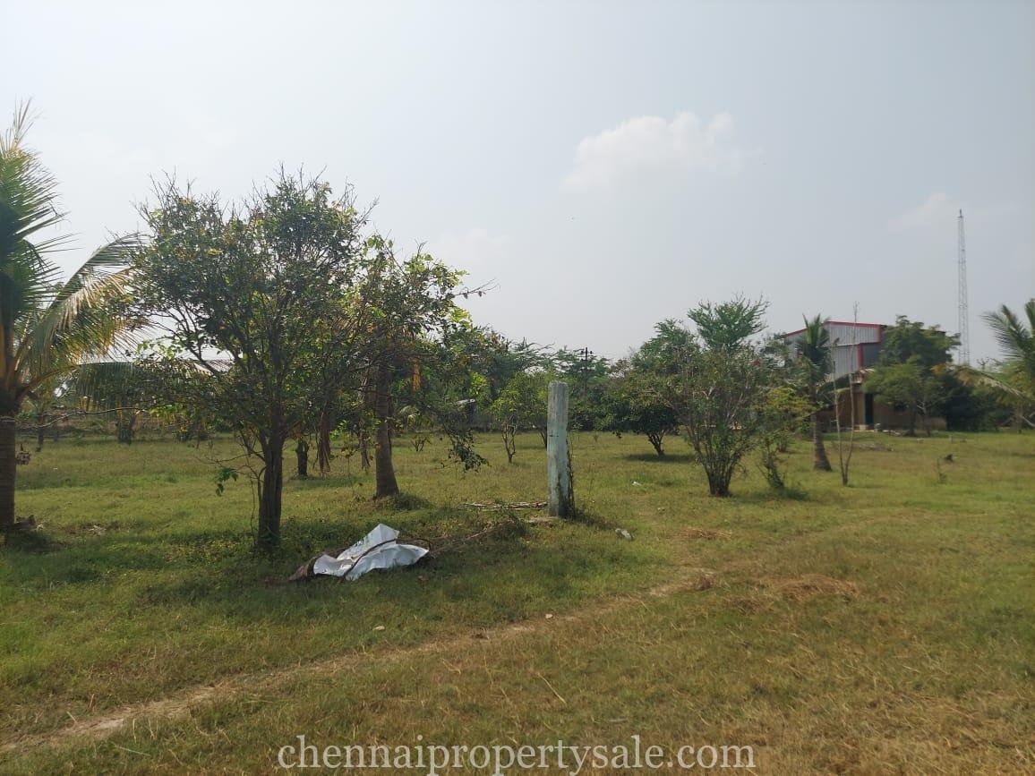 32 Acres industrial Land Sale in Ponneri