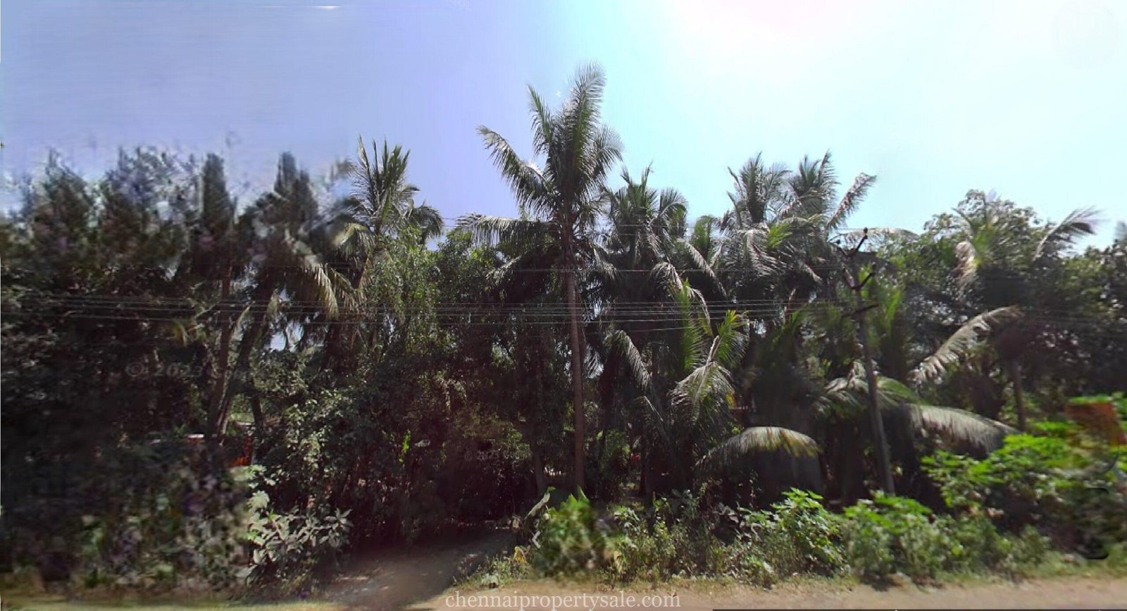 5 Ground Vacant Land Sale in Koovathur