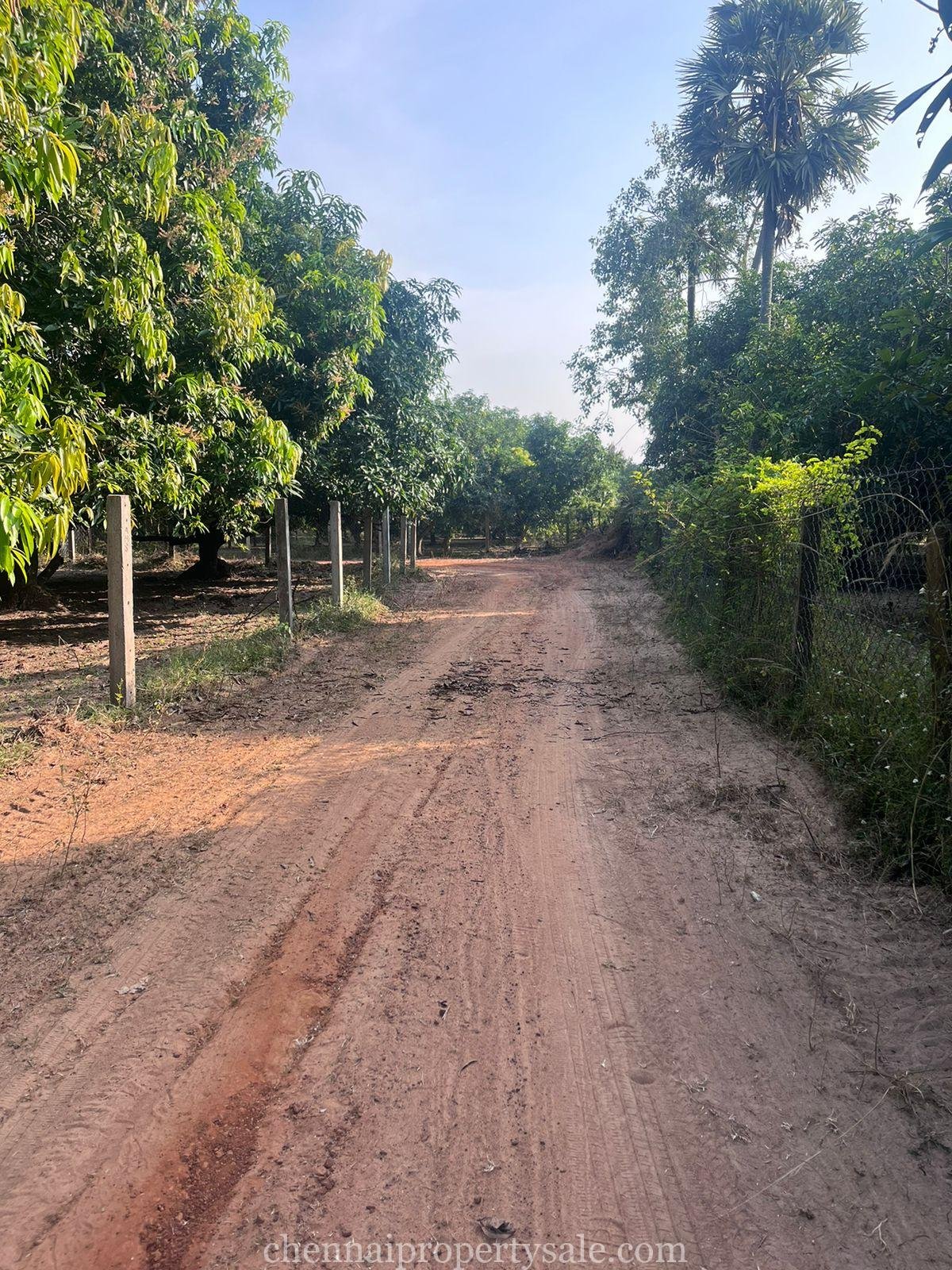  50 Acres industrial Land Sale in Gummidipoondi