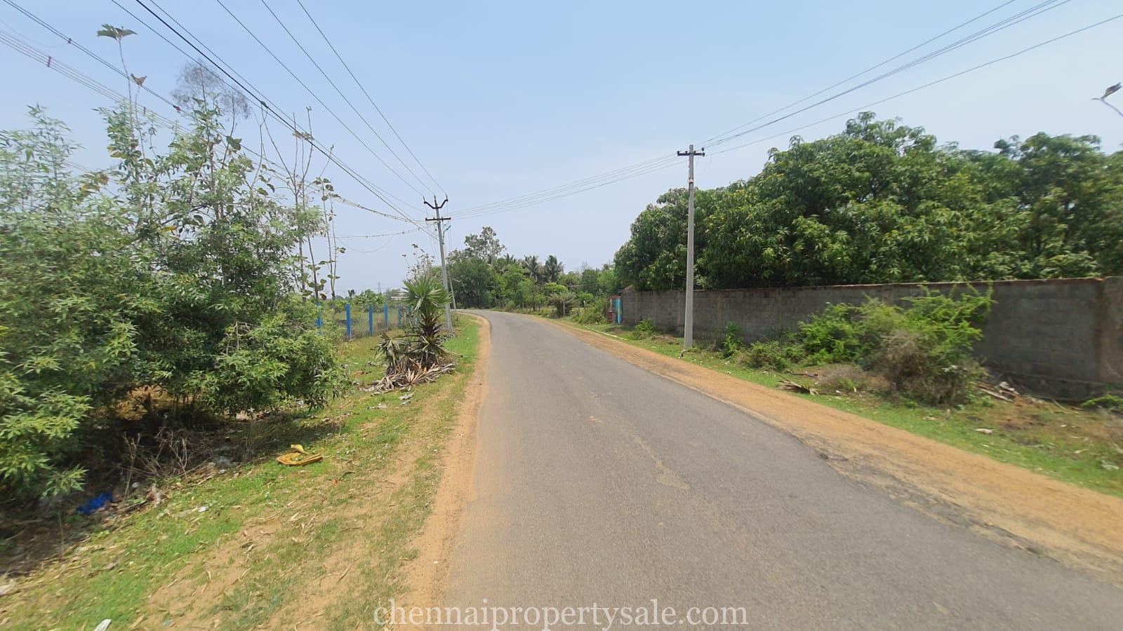 80 Acres Farm Land Sale in Sunguvarchatram Pannur