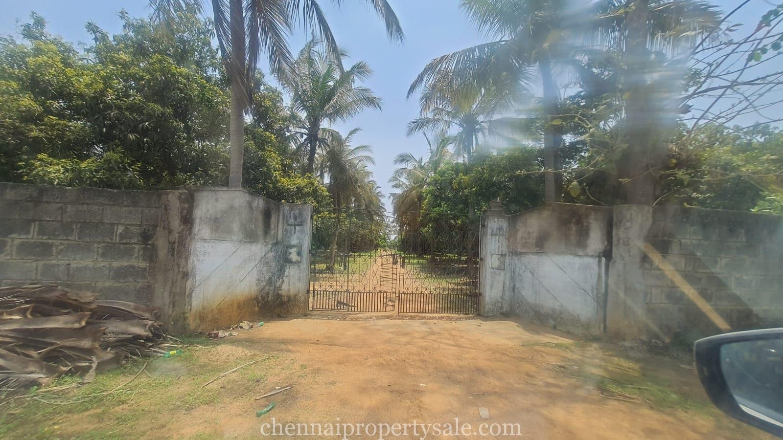 80 Acres Farm Land Sale in Sunguvarchatram Pannur