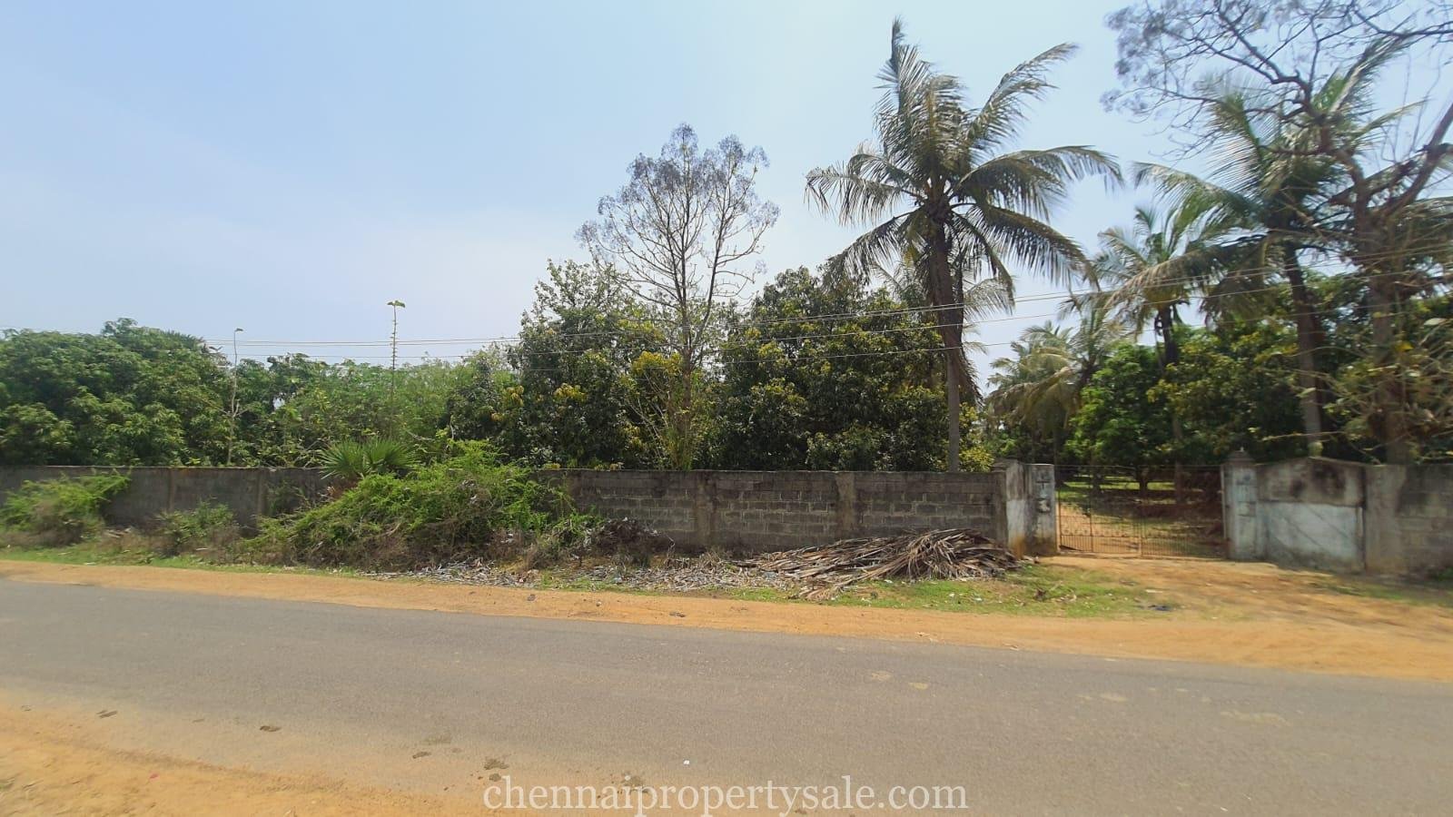 80 Acres Farm Land Sale in Sunguvarchatram Pannur