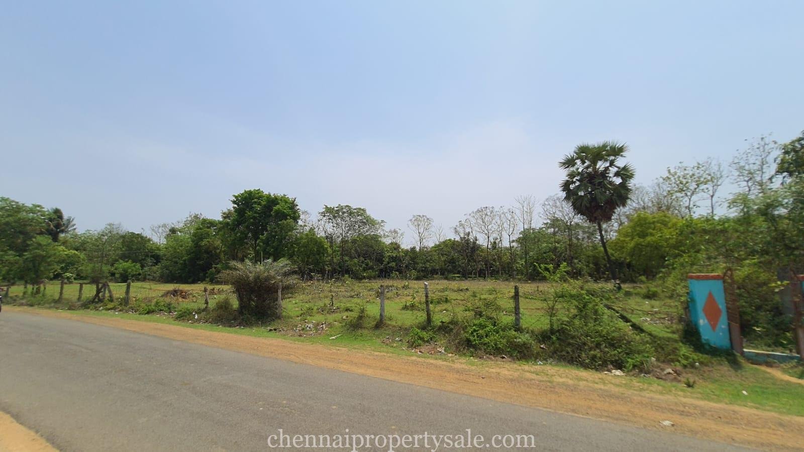 80 Acres Farm Land Sale in Sunguvarchatram Pannur